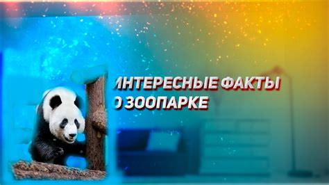 Интересные факты о зоопарке