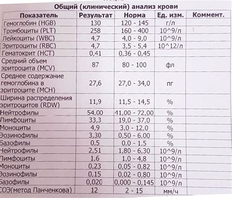 Интерпретация результатов анализа уровня альбумина и глобулина у собаки