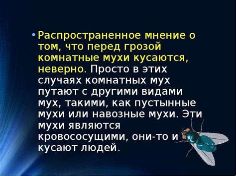 Интерпретация сна о мухах для мужчины