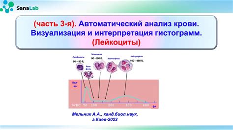 Интерпретация сновидений о крови