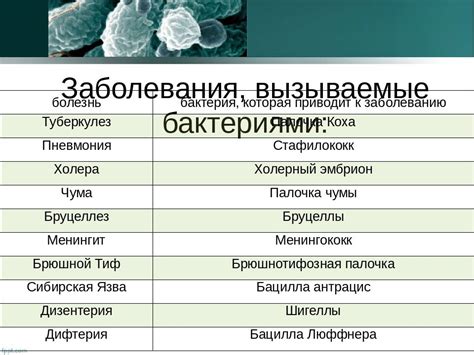 Инфекции и бактериальные заболевания