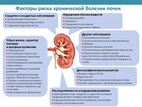 Инфекционные заболевания как причина повышения температуры при болях в почках