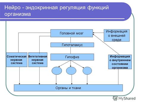 Информация о внутреннем состоянии организма