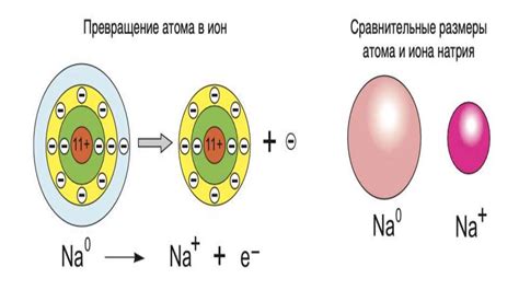 Ионы - ключевые элементы электролитов