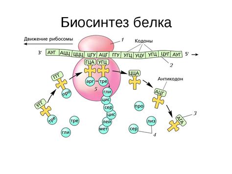 Искусственное интеллект в построении белка