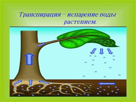 Испарение воды через ультразвуковые колебания