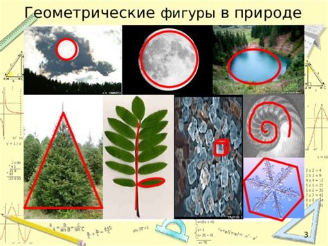 Использование базовых геометрических форм