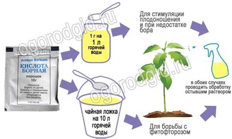 Использование борного раствора