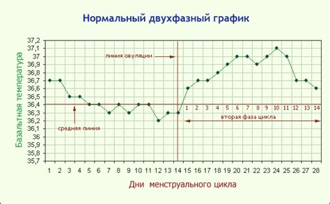 Использование графика базальной температуры для планирования беременности