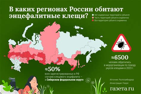 Использование индикаторов в разных областях жизни