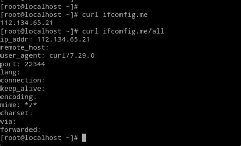 Использование команды curl ifconfig.me