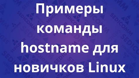 Использование команды hostname -I