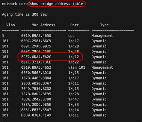 Использование команды show mac address-table