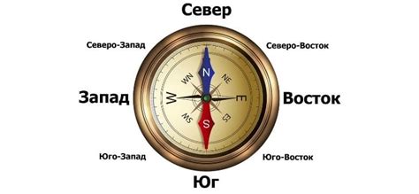 Использование компаса: надежный и точный инструмент для определения севера и юга