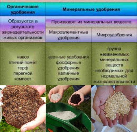 Использование минеральных удобрений для размягчения почвы