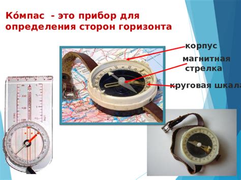 Использование мха для определения сторон горизонта