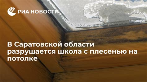 Использование побелки для борьбы с плесенью на потолке