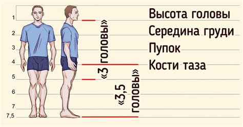 Использование правильной пропорции