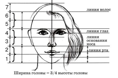 Использование правильных пропорций в рисунке