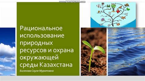 Использование природных абсорбентов