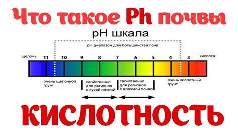 Использование природных материалов для изменения pH почвы