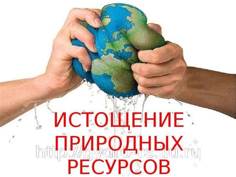 Использование природных ресурсов для очистки легких щенка