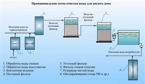 Использование природных элементов для очистки