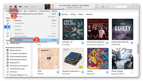 Использование программы iTunes для удаления айди