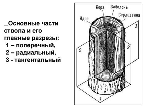 Использование разреза ствола