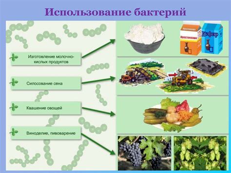 Использование растений и бактерий