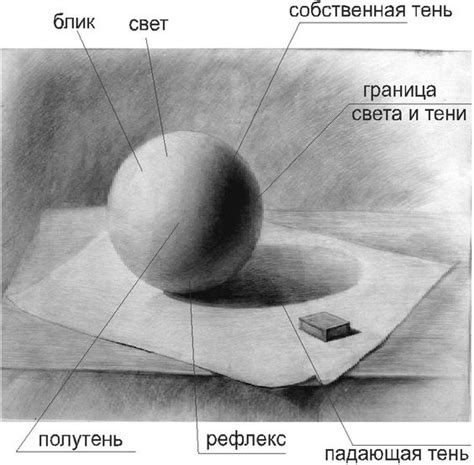 Использование светотени и отражений при рисовании огурцов внутри