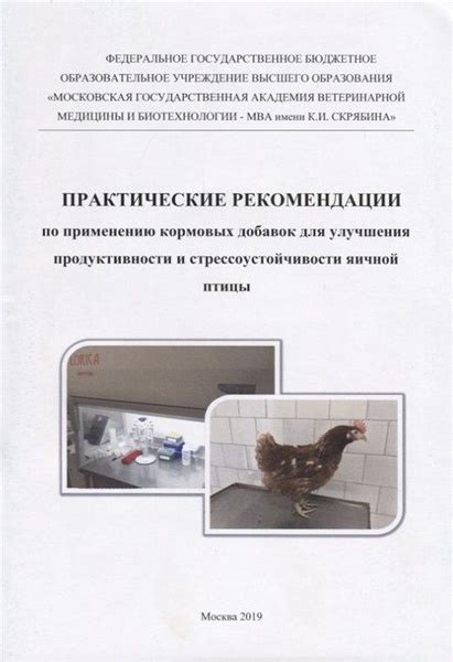 Использование специализированных добавок для улучшения продуктивности