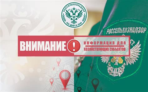 Использование специализированных препаратов и добавок