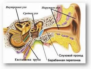 Использование специальных средств от воды в ухе