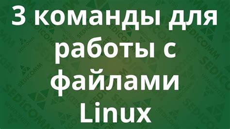 Использование терминала для работы с deb файлами на Linux