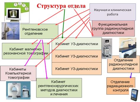 Использование ультразвуковых методов диагностики