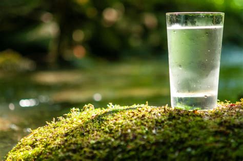 Использование химических средств для очистки водоема