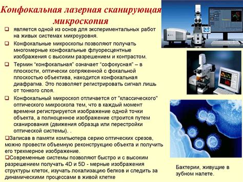 Использование электронной микроскопии в исследовании