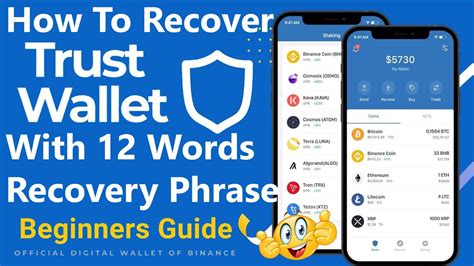 Использование Wallet Recovery