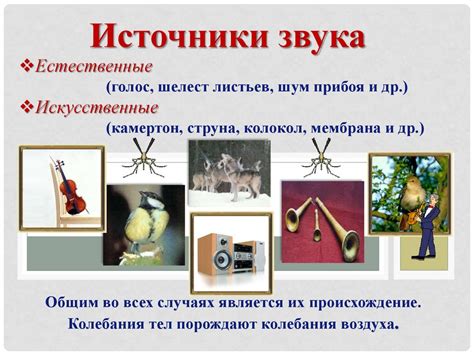 Используйте высококачественные источники звука