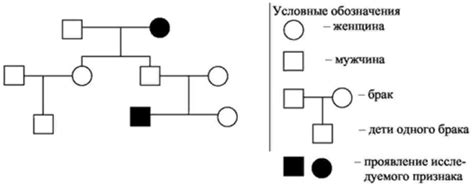 Используйте генеалогические программы