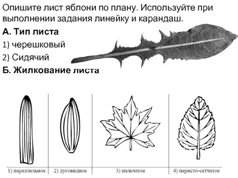 Используйте линейку и карандаш для обозначения клеток