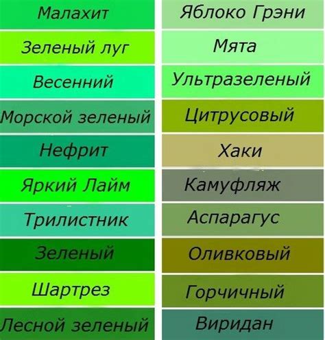 Используйте различные оттенки зеленого цвета для создания разнообразия в вашем рисунке