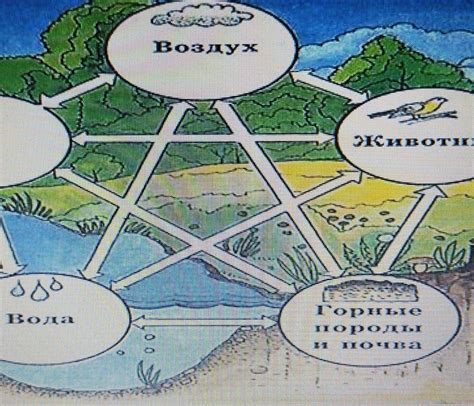 Исследование взаимосвязи компонентов природного ресурса