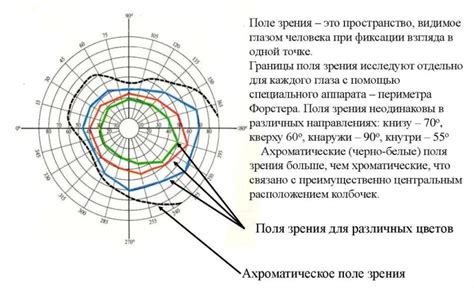 Исследование зрения и поля зрения