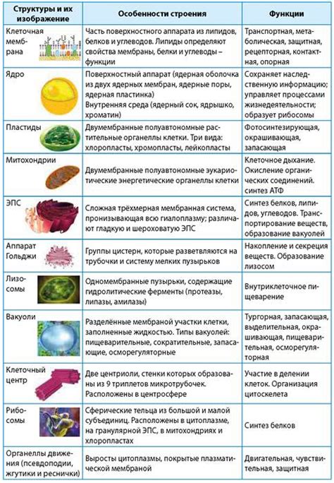 Исследование клеток и их функций