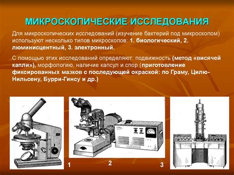 Исследование микроорганизмов и бактерий