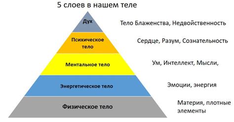 Исследование навыков и умений шепарда