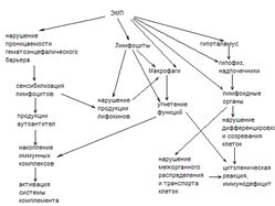 Исследование первого уровня: биологический аспект человека