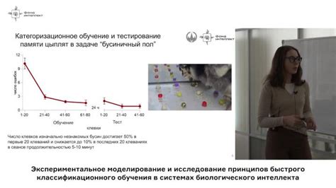 Исследование принципов действия афалазы